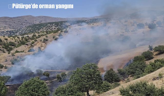 Malatya Pütürge’de orman yangını kontrol altına alındı