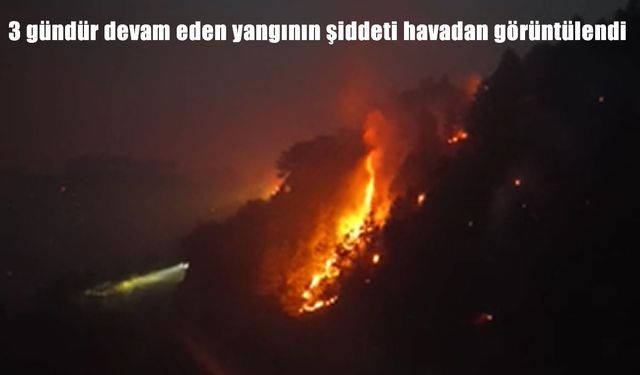 Denizli’de başlayan yangın Aydın’a sıçradı: 3 gündür müdahale devam ediyor
