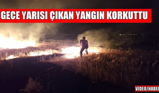 Muş'un Körpeağaç Köyü'nde çıkan anız yangını korkuttu