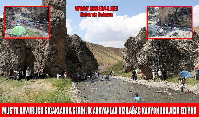 Kızılağaç kanyonu, Muş’ta doğal serinliğin adresi oldu