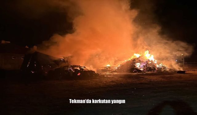 Tekman’da Korkutan Yangın: 1 Ahır, 1 Samanlık Yandı, 5 Büyükbaş Hayvan Telef Oldu