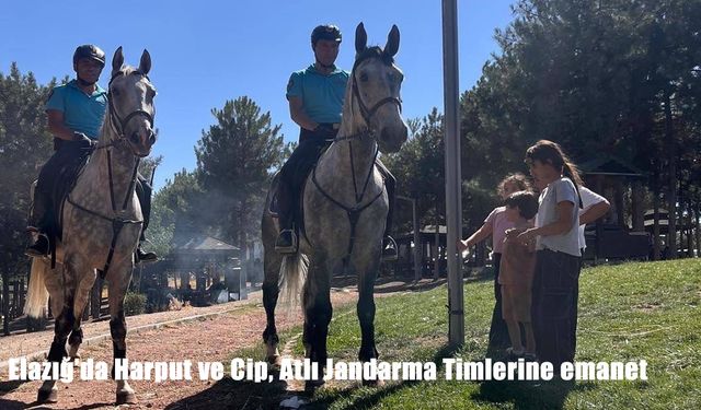 Elazığ’da Harput ve Cip Mesire Alanı Atlı Jandarma Timlerinin Korumasında