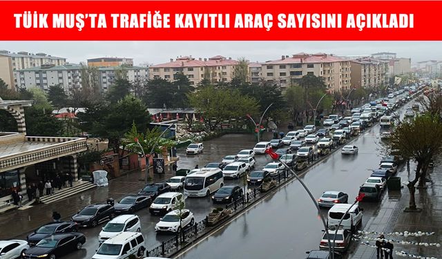Muş’ta trafiğe kayıtlı araç sayısı açıklandı