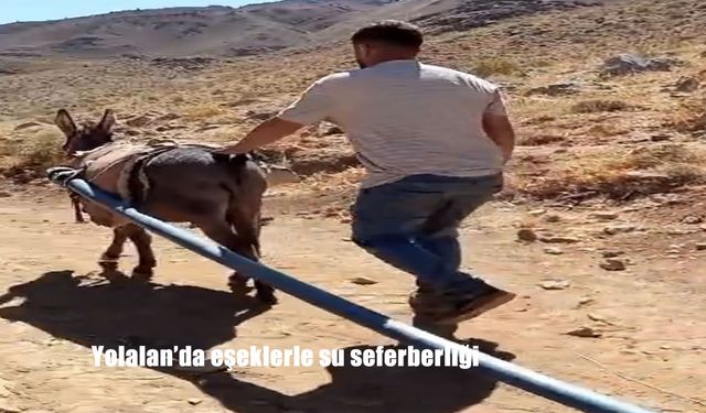 Yolalan’da İçme Suyu İçin Eşeklerle Seferberlik Başlatıldı