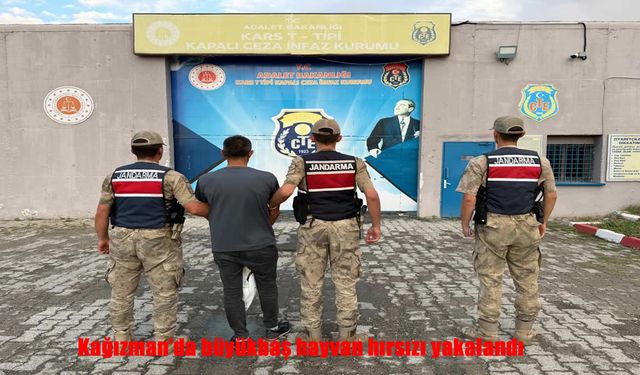 Çaldığı 4 Büyükbaş Hayvanla Yakalandı