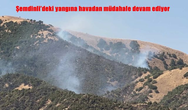 Şemdinli’de Orman Yangınına Havadan Müdahale Sürüyor