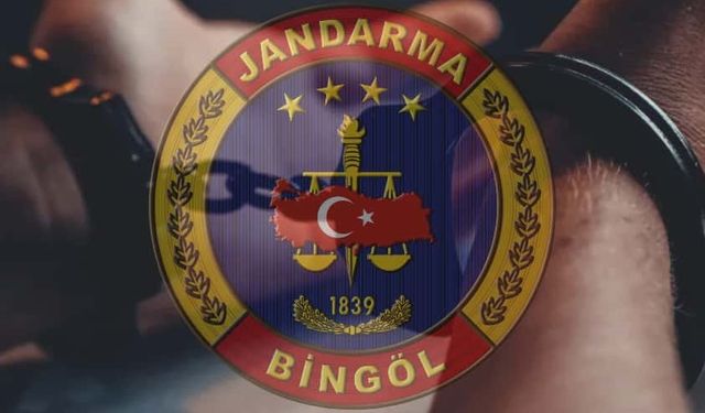 Bingöl’de Kesinleşmiş Hapis Cezası Bulunan Zanlı Jandarma Tarafından Yakalandı