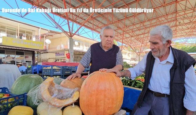 Darende’de Bal Kabağı Üretimi Bu Yıl da Üreticinin Yüzünü Güldürüyor