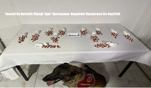 Tunceli’de Narkotik Köpeği ‘Ayar’ Operasyonu: Bagajdaki Uyuşturucu Ele Geçirildi