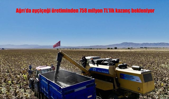 Ağrı’da Ayçiçeği Hasadı Ekonomiye 758 Milyon TL Katkı Sağlayacak