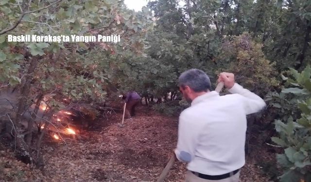 Baskil Karakaş’ta Yangın Paniği