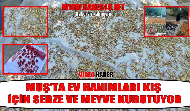 Kışa lezzetli hazırlık: Muş’ta kurutmalık mevsimi başladı