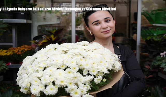 Eylül Ayında Bahçe ve Balkonların Gözdesi: Kasımpatı ve Sıklamen Çiçekleri