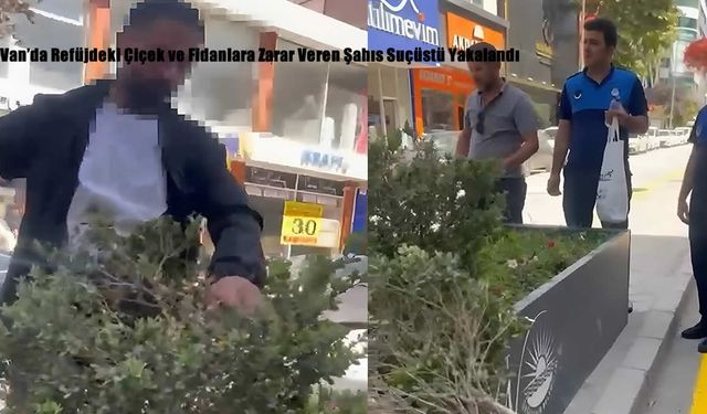 Van’da Refüjdeki Çiçek ve Fidanlara Zarar Veren Şahıs Suçüstü Yakalandı