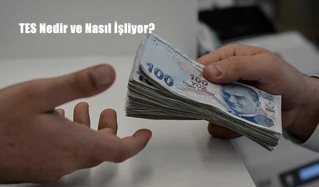 Tamamlayıcı Emeklilik Sistemi (TES) Nedir? İşte Avantajları, Katılım Şartları ve Yürürlük Tarihi