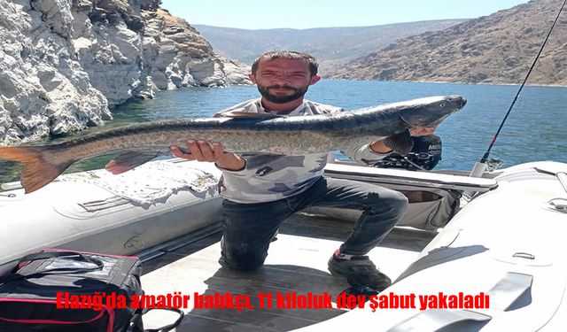 11 Kiloluk Şabut Sudan Çıkarıldı