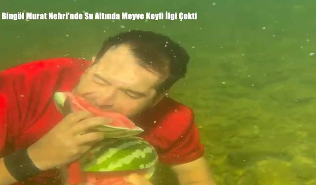 Bölge