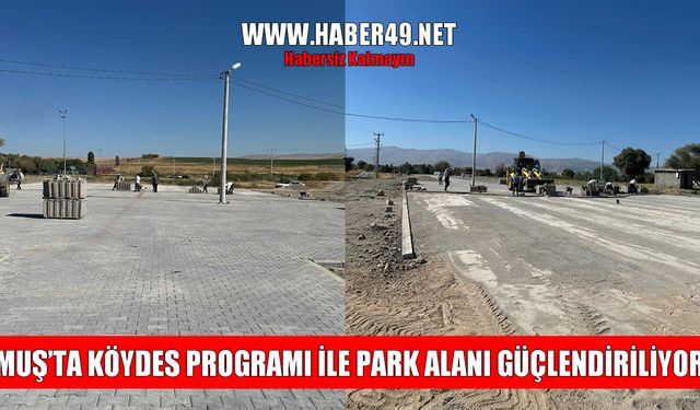 Muş Tarihi Murat Köprüsü park alanları yenileniyor