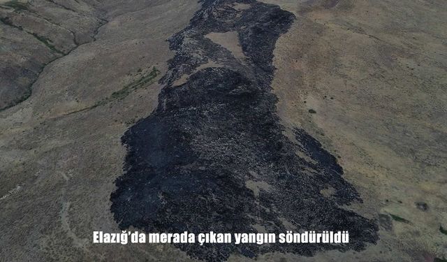 Elazığ Karakoçan’da Merada Çıkan Yangın Kontrol Altına Alındı