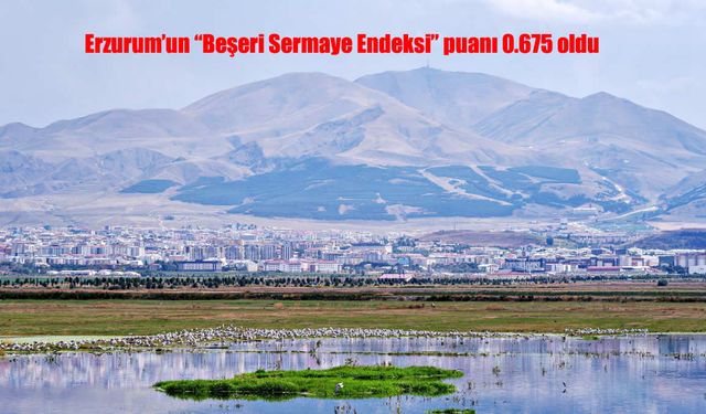 Erzurum’un Beşeri Sermaye Endeksi 0,675 Oldu