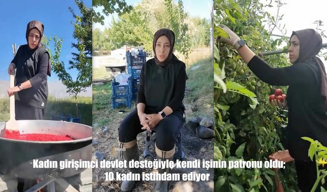 Erzincan’da kadın girişimci devlet desteğiyle serasını kurdu, 10 kadına iş kapısı açtı