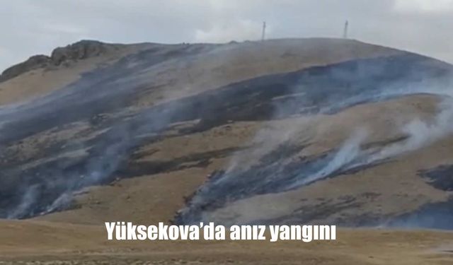 Yüksekova’da Korkutan Anız Yangını: İtfaiye Ekipleri Seferber Oldu