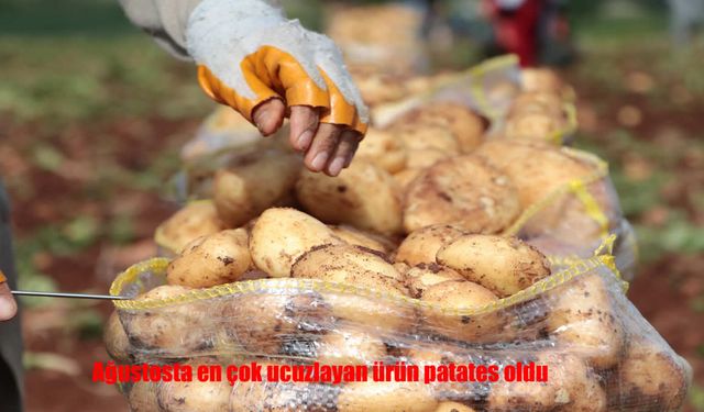 Ağustosta En Çok Ucuzlayan Ürün Patates Oldu