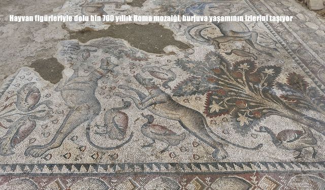 1700 Yıllık Roma Mozaiği Gün Yüzüne Çıkarıldı: Burjuva Yaşamının İzleri Ortaya Çıktı