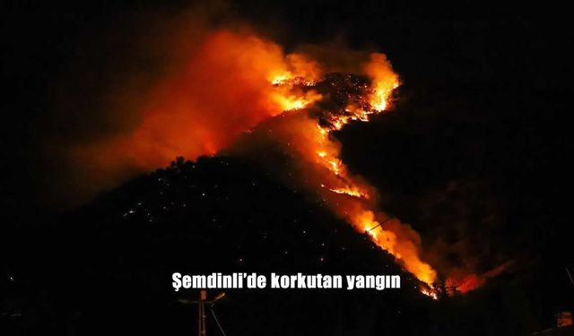 Şemdinli’de Korkutan Orman Yangını: Yerleşim Yerleri Son Anda Kurtarıldı