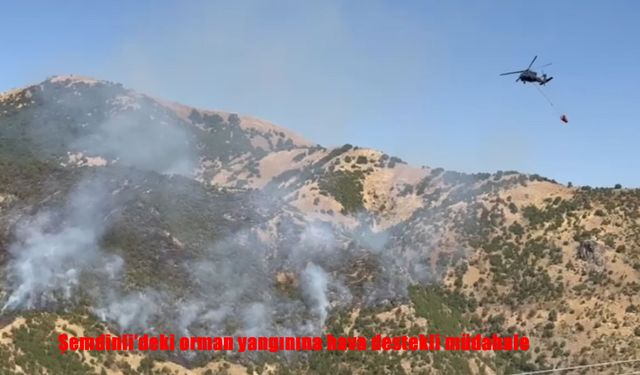 Şemdinli’de Orman Yangınına Hava Destekli Müdahale