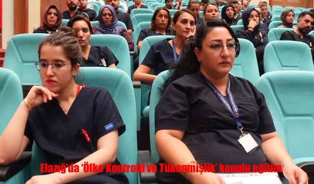 Elazığ’da Sağlık Çalışanlarına ‘Öfke Kontrolü ve Tükenmişlik’ Eğitimi