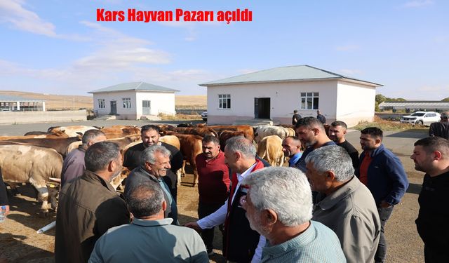 Kars Hayvan Pazarı Açıldı