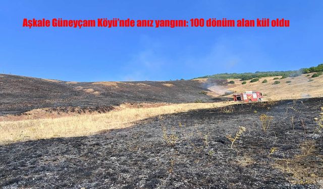 Aşkale’de Korkutan Anız Yangını: 100 Dönüm Tarım Arazisi Küle Döndü