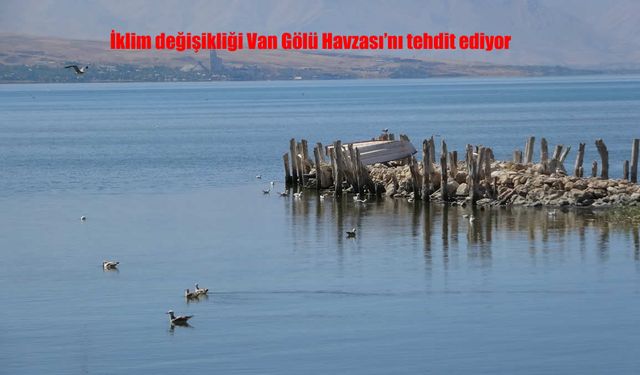 Van Gölü Havzası Kuraklık Tehlikesiyle Karşı Karşıya: İçme Suyu Kaynakları Tehlikede