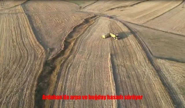 Hububat Hasadı Sürüyor: Rekolte Beklenenin Altında
