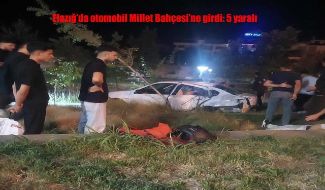 Feci Kaza: Araç Millet Bahçesi’ne Daldı, 5 Kişi Yaralandı