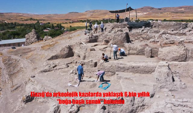 Elazığ’da 6 Bin Yıllık Boğa Başlı Sunak Gün Yüzüne Çıkarıldı