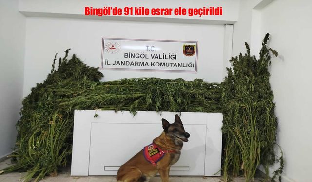 Bingöl’de zehir tacirlerine darbe