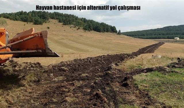 Ardahan Üniversitesi Kampüsünde Hayvan Hastanesi İçin Alternatif Yol Çalışması Başladı
