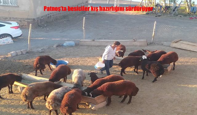 Besiciler Kışa Hazırlık Yapıyor