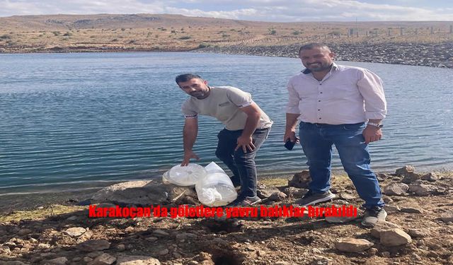Karakoçan’da Göletler Yavru Balıklarla Canlandırıldı