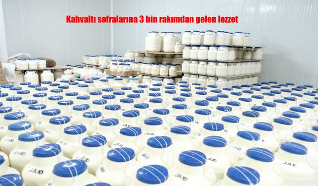 Kahvaltı Sofralarının Vazgeçilmezi: Erzincan Tulum Peyniri 3 Bin Rakımdan Geliyor