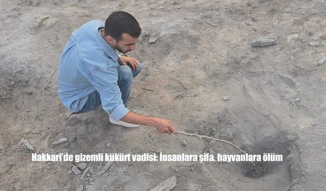Gizemli Vadi İnsanlara Şifa, Kuşlara Ölüm Saçıyor