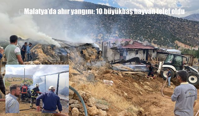 Malatya'da Ahır Yangını: 10 Büyükbaş Hayvan Telef Oldu