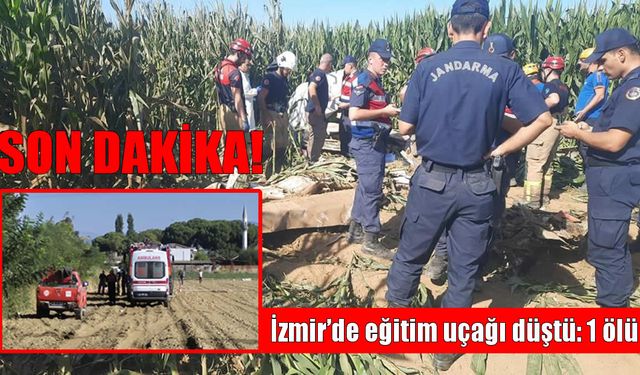 Son Dakika: Eğitim uçağı düştü 1 ölü