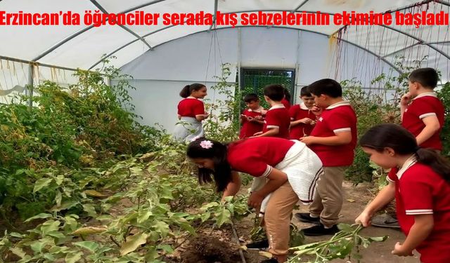 Erzincan’da Öğrenciler Serada Kışlık Sebze Ekimi Yaptı