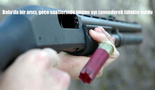 Bolu’da Arıcı, İmamı Ayı Zannedip Vurdu: Hayati Tehlikesi Devam Ediyor