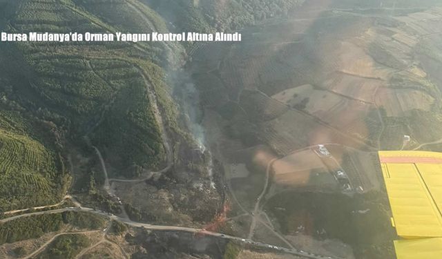 Bursa Mudanya’da Orman Yangını Kontrol Altına Alındı