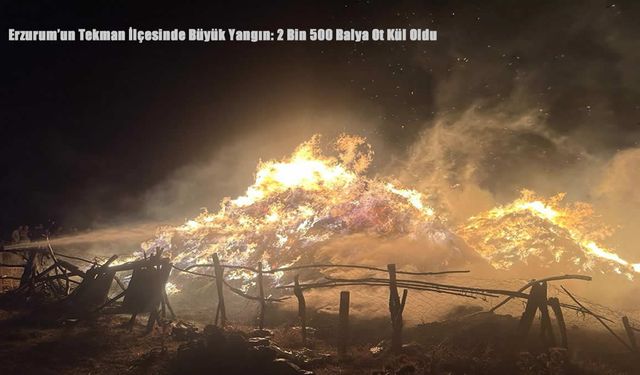 Erzurum’un Tekman İlçesinde Büyük Yangın: 2 Bin 500 Balya Ot Kül Oldu