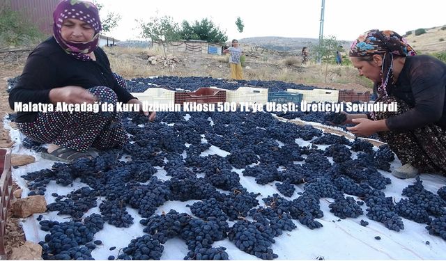 Malatya Akçadağ’da Kuru Üzümün Kilosu 500 TL’ye Ulaştı: Üreticiyi Sevindirdi